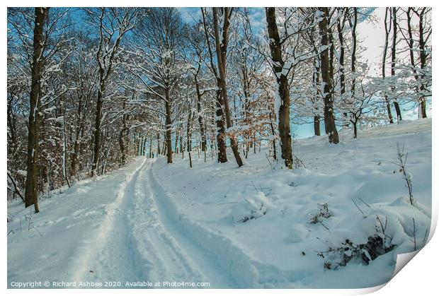 Sledge tracks leads through the snow in Sheffield Print by Richard Ashbee