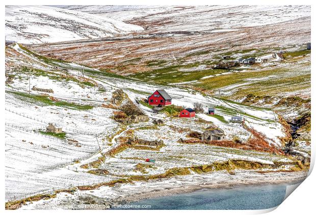 Shetland Red Houses in the snow Print by Richard Ashbee