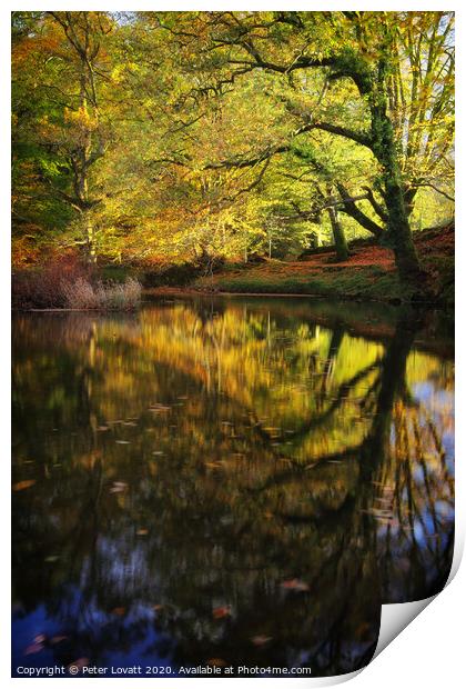 Autumn Reflection Print by Peter Lovatt  LRPS
