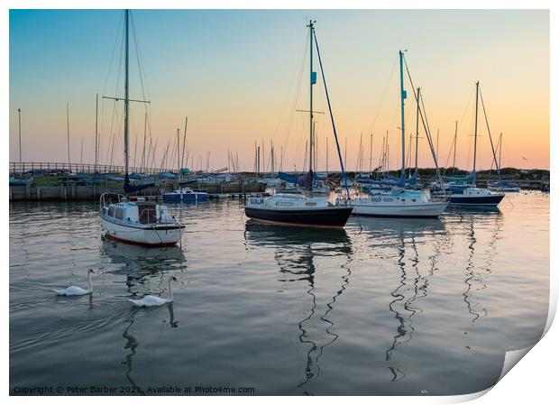 The Swans in the Harbour at sunset Print by Peter Barber