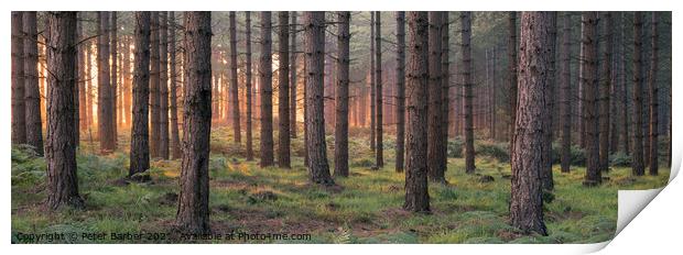 Matley Ridge Sunrise Print by Peter Barber