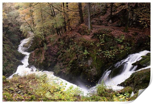 Stockghyll Force flowing downriver to Ambleside Print by Peter Barber
