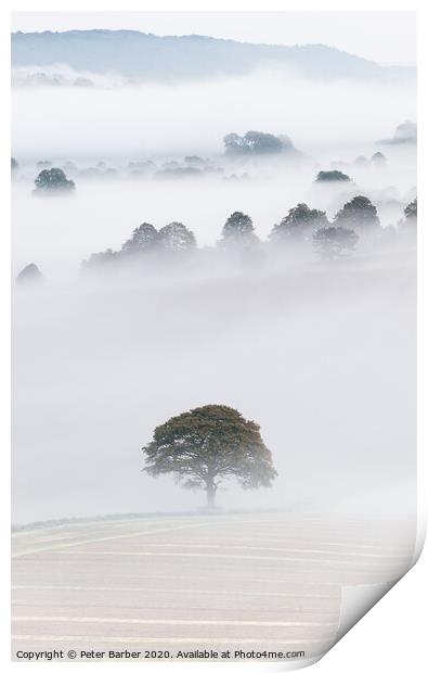 South Downs Mist Print by Peter Barber