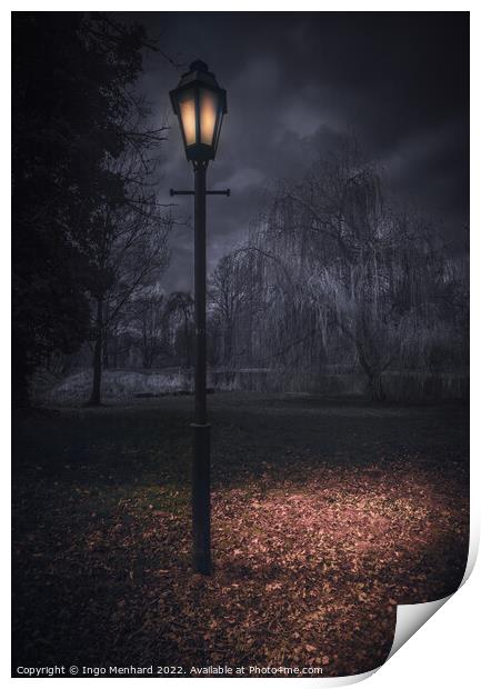 A night in the park Print by Ingo Menhard