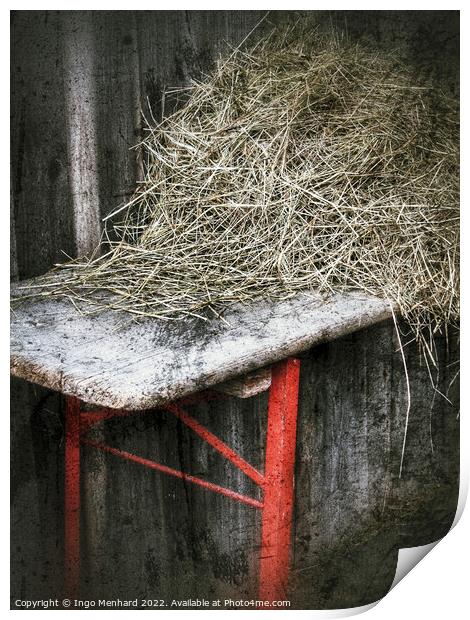 Old German ale-bench with hay on it Print by Ingo Menhard
