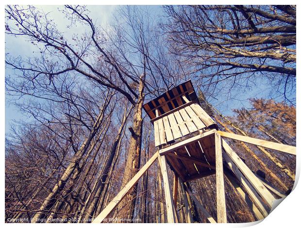 Low angle shot of a wooden treehouse with bare trees against the blue sky Print by Ingo Menhard