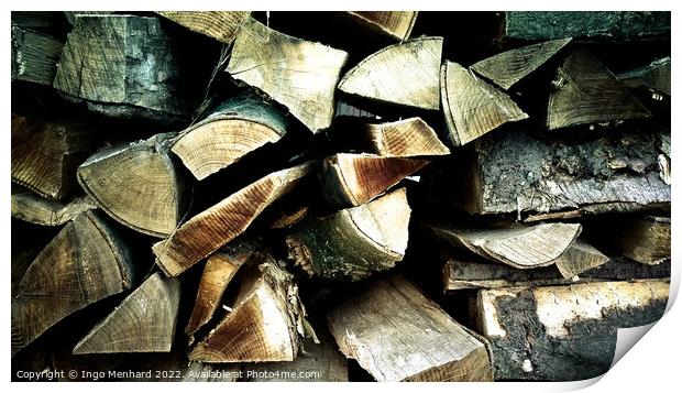 Closeup shot of firewood Print by Ingo Menhard