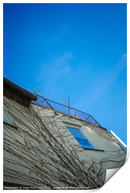 Vertical low angle shot of a building with tree roots under a blue sky Print by Ingo Menhard