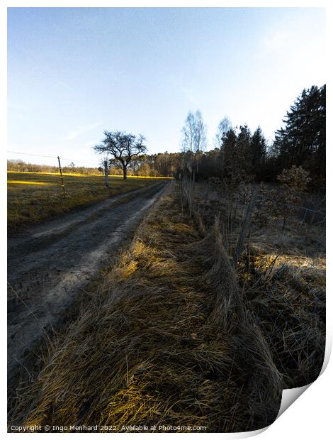 Vertical shot of the rural road in the middle of the field Print by Ingo Menhard