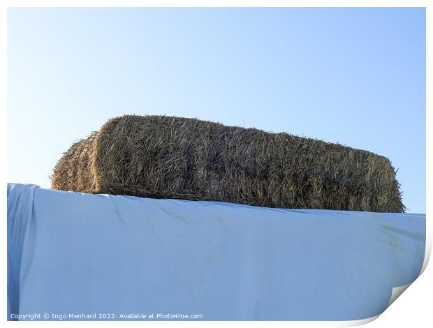 Hay stacked on a construction covered by white textile Print by Ingo Menhard