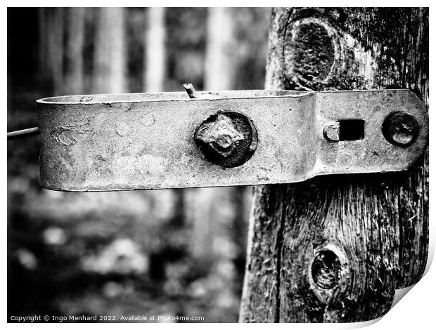 A grayscale closeup shot of a metal part attached to tree log Print by Ingo Menhard