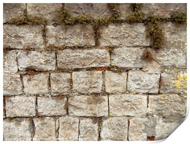 Texture of a weathered stone wall with dry grass Print by Ingo Menhard