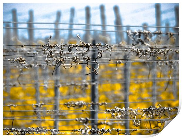 Selective focus shot of barbed wires Print by Ingo Menhard