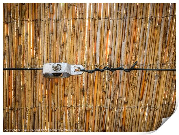 Classic brown reed fence details Print by Ingo Menhard