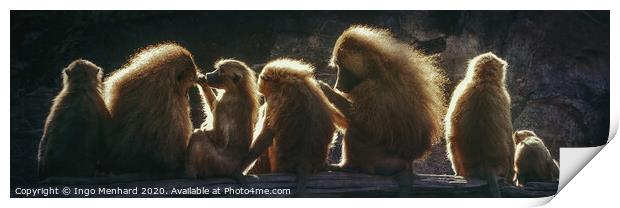 Sunshine monkeys Print by Ingo Menhard