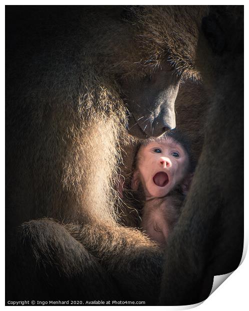 Save monkey baby Print by Ingo Menhard