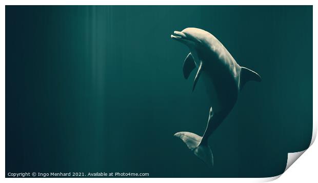 Happy dolphin Print by Ingo Menhard