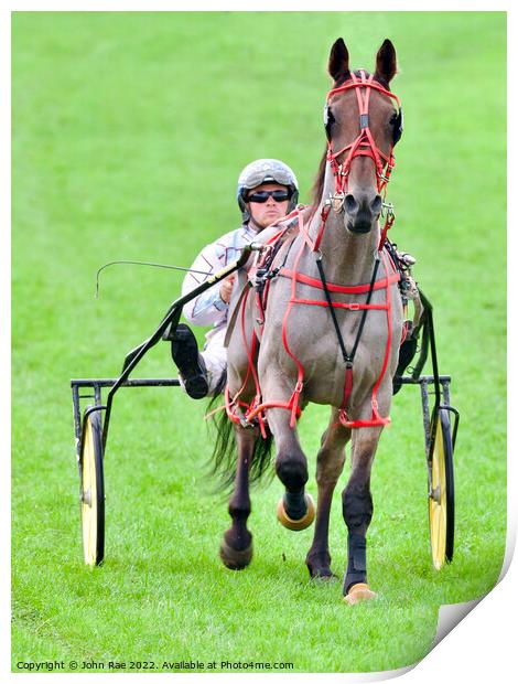 Trotting race Print by John Rae