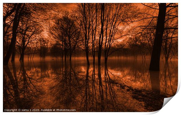 A tree next to a body of water Print by samu z