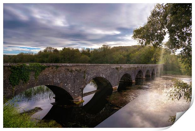 Eight Arch Bridge at Bosherston Lily Ponds Print by Tracey Turner
