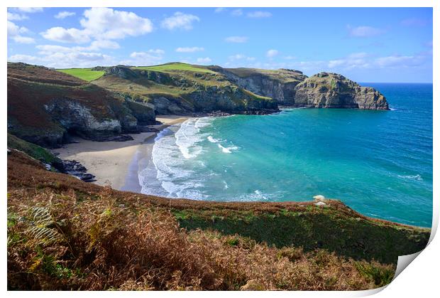 Bossiney Haven near Tintagel, Cornwall Print by Tracey Turner