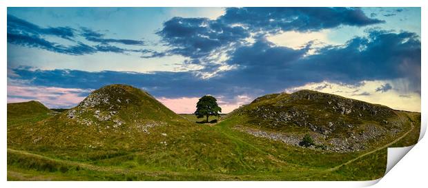 Stunning Panoramic Sunset at Sycamore Gap, Hadrian Print by Tracey Turner
