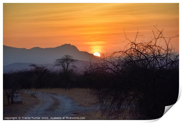 African Sunrise Print by Tracey Turner