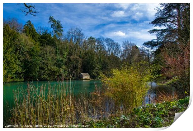 Lake View at Colesbourne Gardens  Print by Tracey Turner