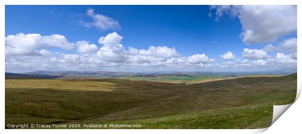 Yorkshire Dales Natural Beauty - Panorama Print by Tracey Turner
