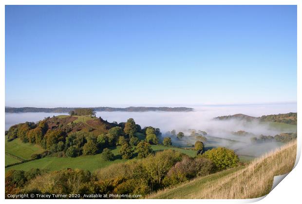 Mist Rising over Downham Hill & Cam Peak, Dursley Print by Tracey Turner