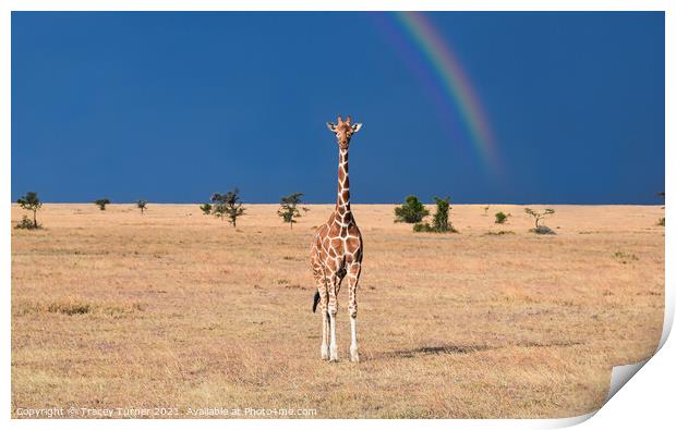 Gentle Giraffe Print by Tracey Turner