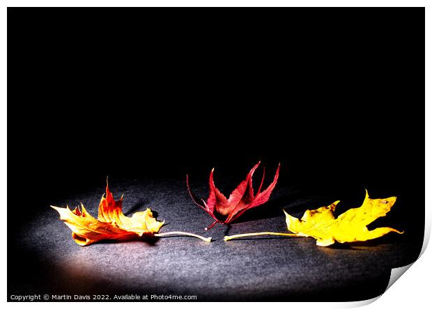 Autumn Spotlight Print by Martin Davis