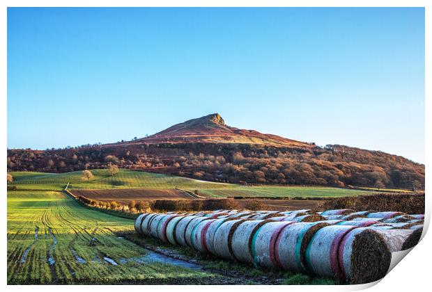 Roseberry Topping and Bales Print by Martin Davis