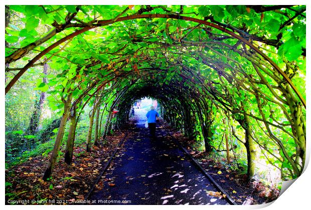 Tree Tunnel. Print by john hill
