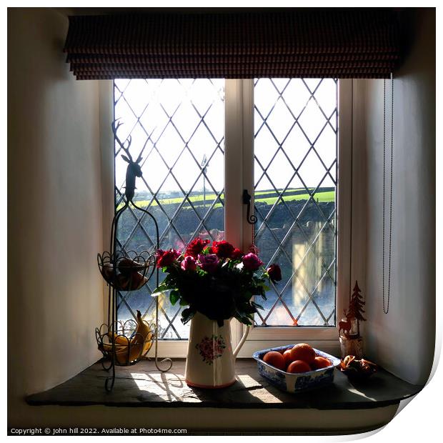 Through the cottage window. Print by john hill