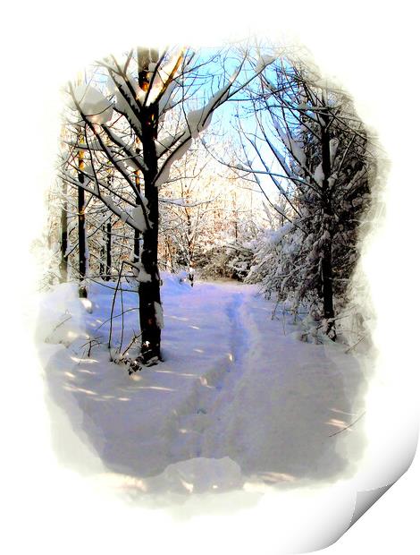 Winter Wonderland in Portrait. Print by john hill