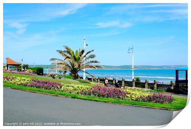 Greenhill gardens Weymouth Dorset. Print by john hill