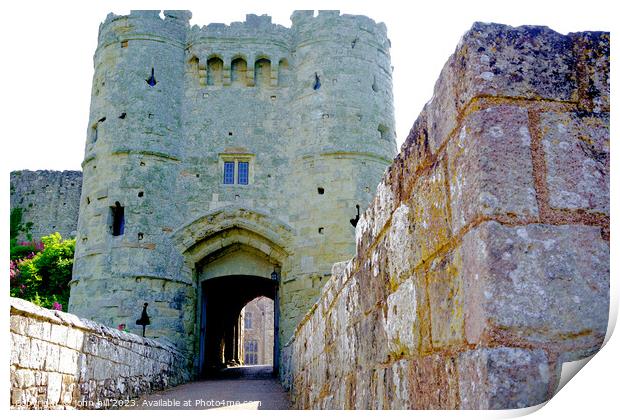 The Imposing Entrance to Carisbrooke Castle Print by john hill
