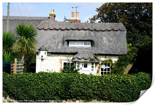 Brighstone thatched cottages, Isle of Wight Print by john hill