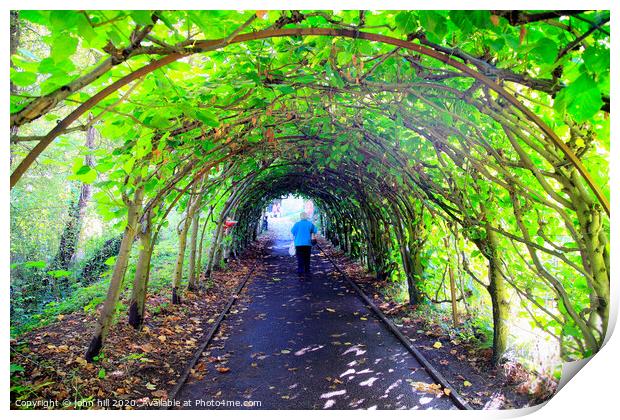 Tree Tunnel at Christchurch in Dorset. Print by john hill