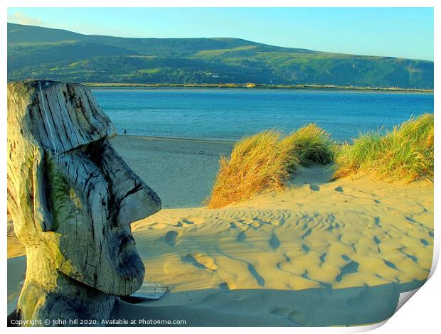 Wooden sculpture on the beach at Barmouth in Wales. Print by john hill