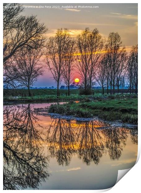 Sunset reflection with threes Print by Veronica in the Fens