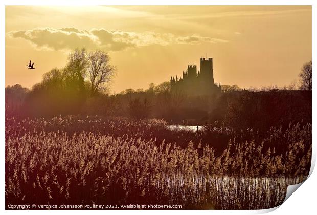The Ship of the Fens - Ely Cathedral Print by Veronica in the Fens