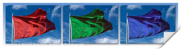 RGB Flag Triptych Print by Bernard Rose Photography