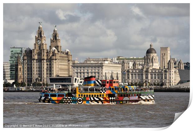 Snowdrop Mersey Ferry  Print by Bernard Rose Photography