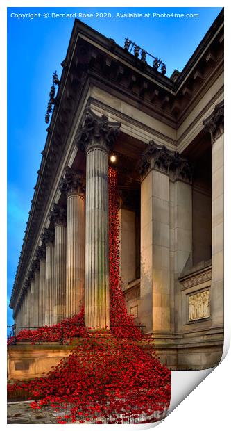 Weeping Window Poppies at St George's Hall 2015 Print by Bernard Rose Photography