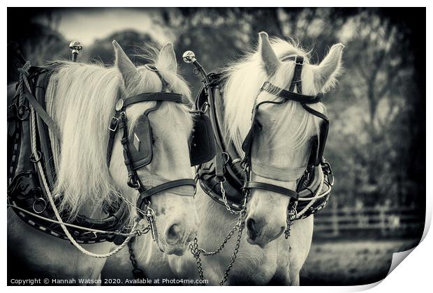 Plough Horses 3 Print by Hannah Watson
