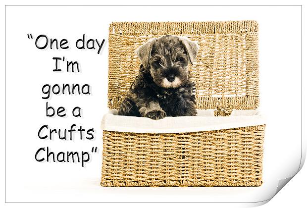 Riley  becomes a champion at crufts 2012 Print by Eddie Howland