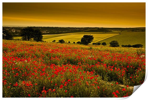 Sunset over poppies in Sussex Print by Eddie Howland