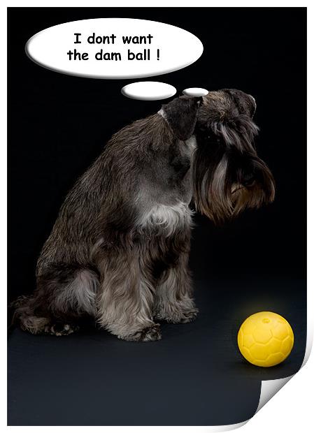 fed up dog Print by Eddie Howland
